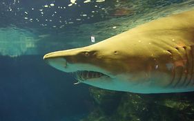 東横inn羽田空港2